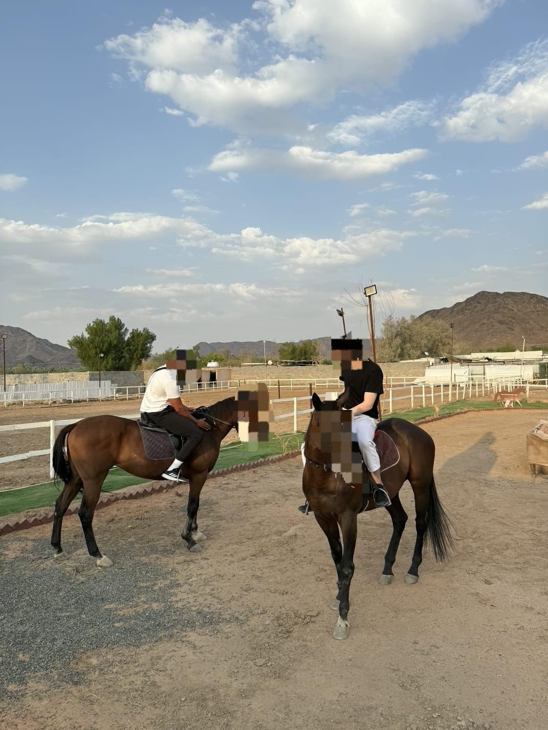 Saudi For You — photo 4